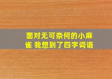 面对无可奈何的小麻雀 我想到了四字词语